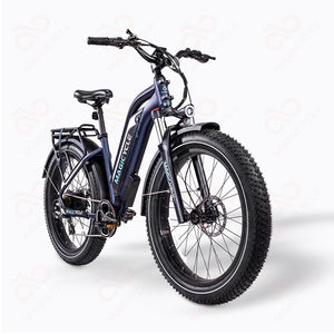 MAGICYCLE 52V CRUISER